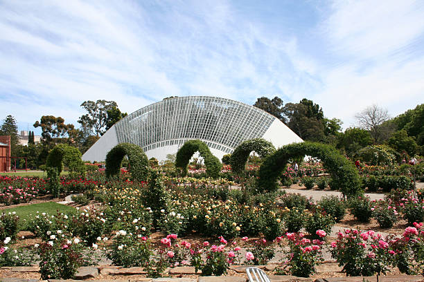 rose garden